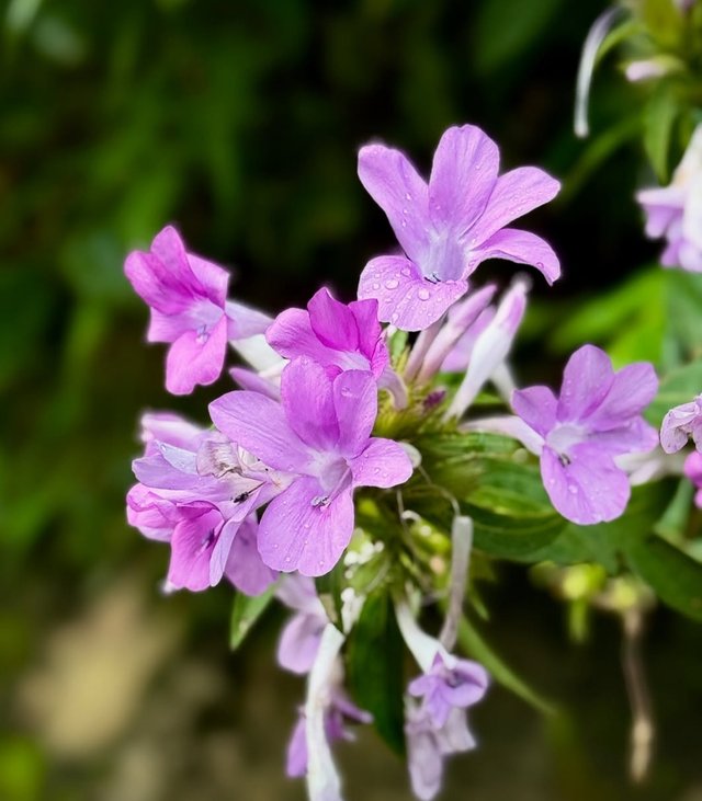 IMG_20250923_201915.jpg