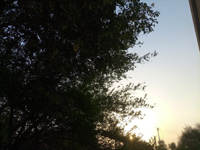 IMG_20250603_054022_968.jpg