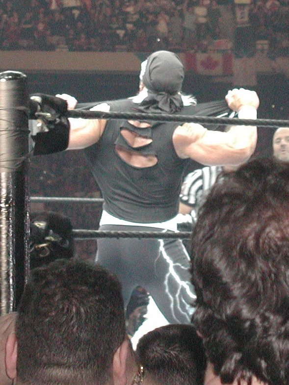 Hollywoodhulkhoganwmx8.jpg