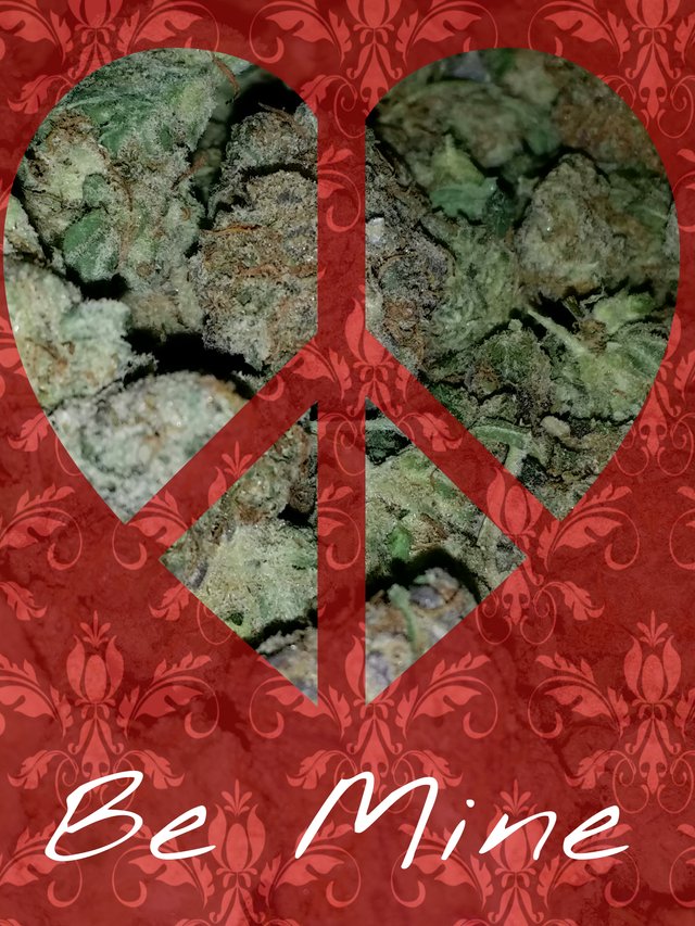 pot valentine.jpg