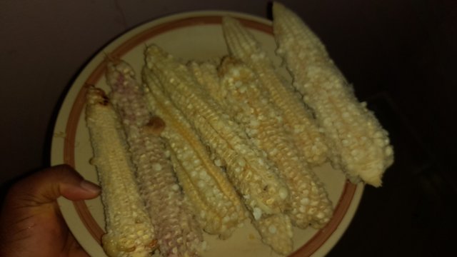 20250514_070127.jpg