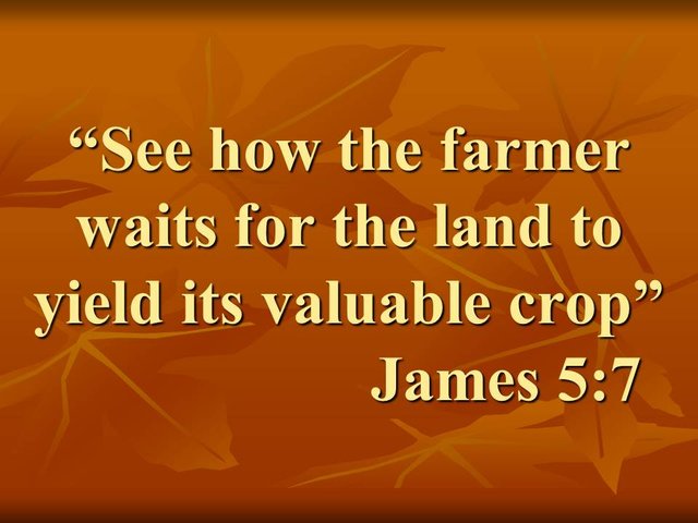 Patience in suffering. See how the farmer waits for the land to yield its valuable crop. James 5,7.jpg