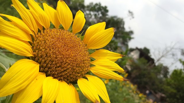 20210310_121255.jpg