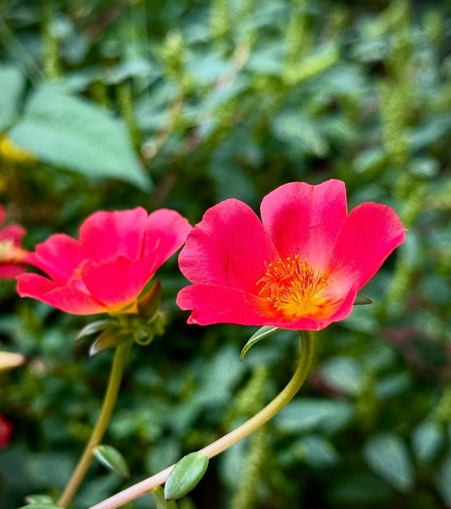 IMG_20250915_214126.jpg