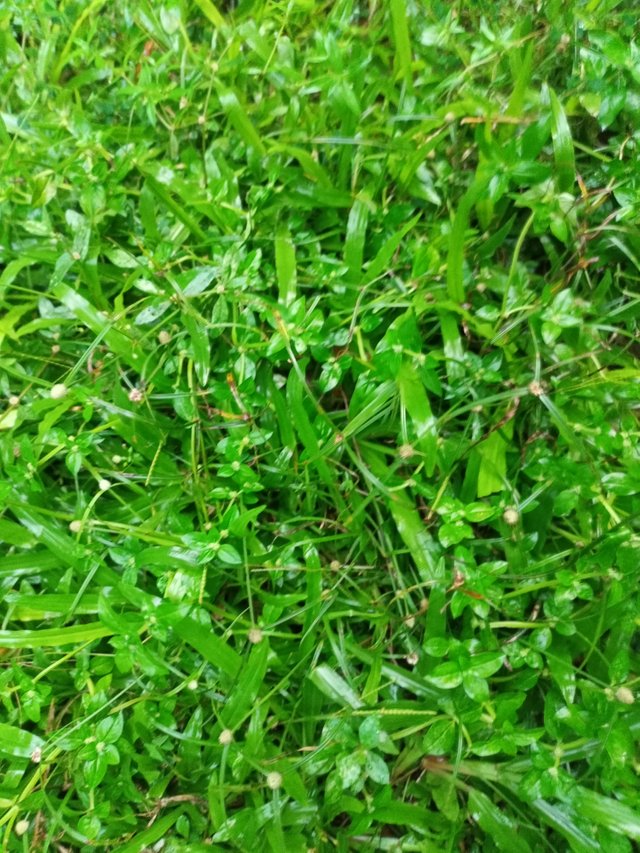 IMG20250820181532.jpg