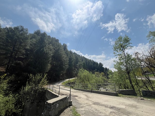 IMG_3344.jpeg
