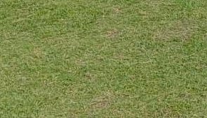 1748778001557_2.jpg