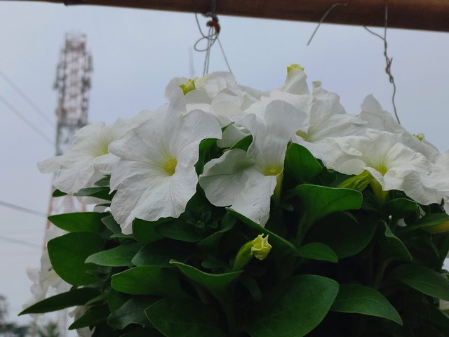 20240112_105647.jpg