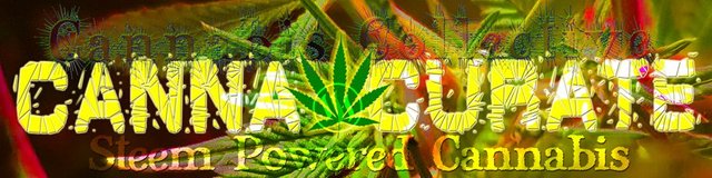 canna-curate-banner3.jpg