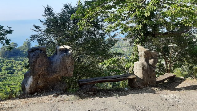 20230805_075926.jpg