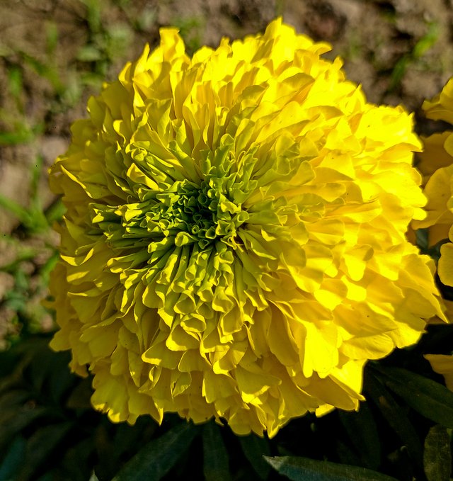IMG20250119125454.jpg
