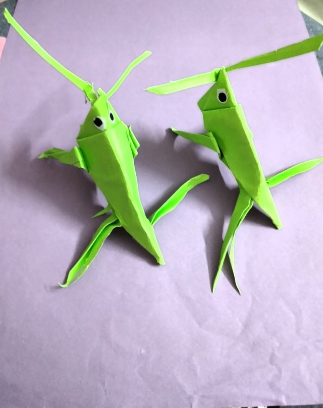 20250301_212645.jpg