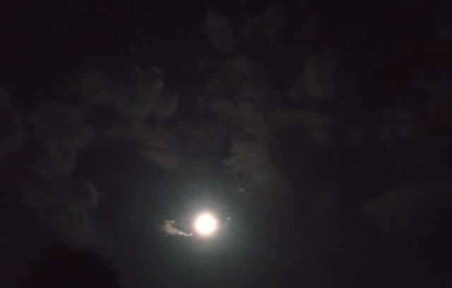 IMG_20250513_084247.jpg