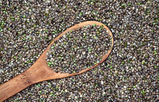 hemp-seeds.jpg