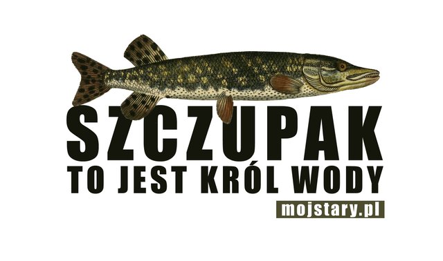 szczupak kopia.jpg