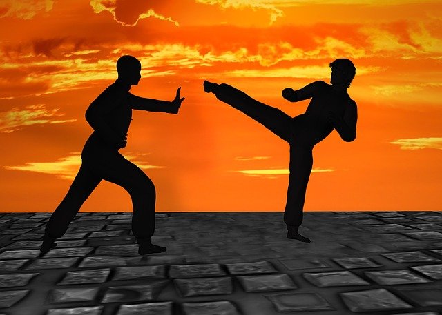 martial-arts-2544677_640.jpg