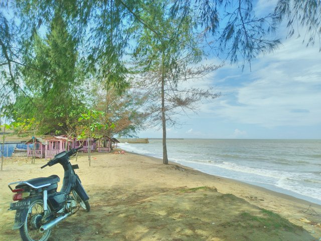 IMG_20241103_121909_HDR.jpg