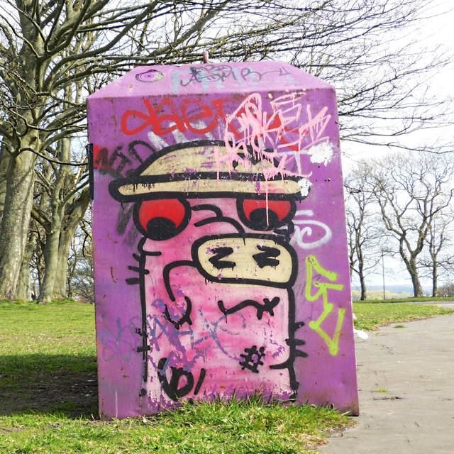graffiti_pig.jpg