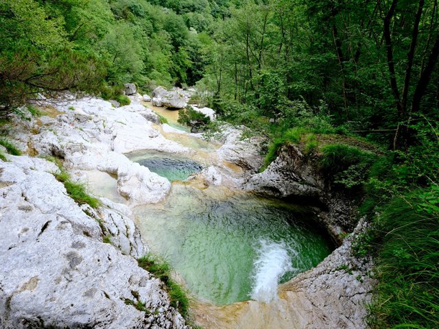 520095776_7163628245