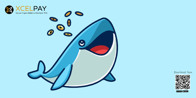 Whales hold the highest percentage of Ethereum (ETH) recorded in 3 years..png