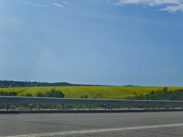 1000081472.jpg
