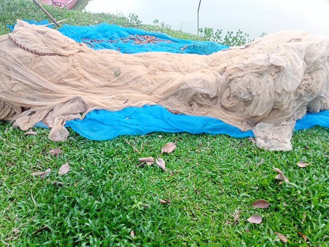 IMG20250801183221.jpg