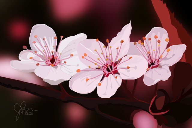 CHERRY BLOSSOMS-Recovered.jpg