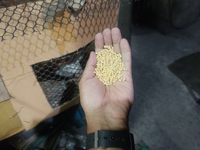 IMG20250601164855.jpg