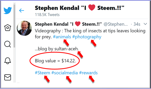 Steemit Steem Blog.jpg