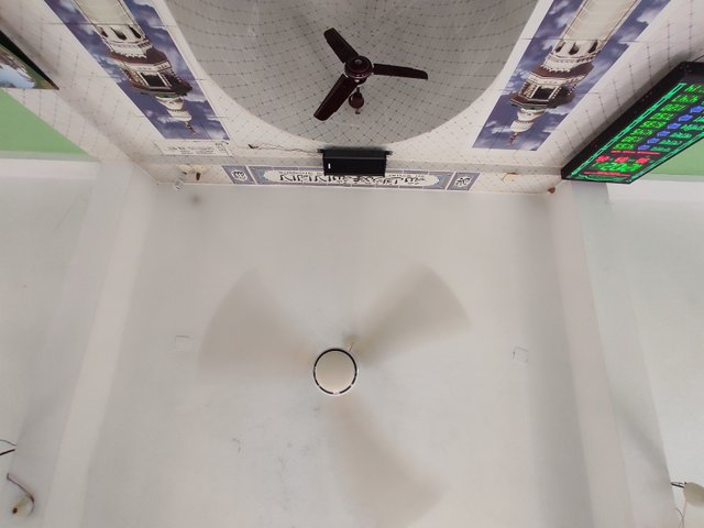 IMG_20250403_183047.jpg