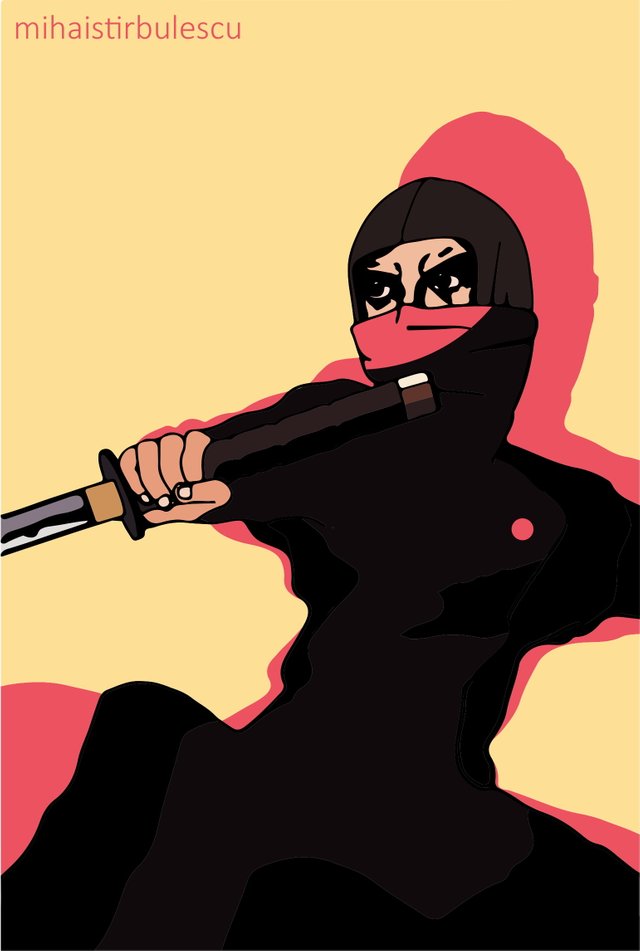 Ninja2-1.jpg