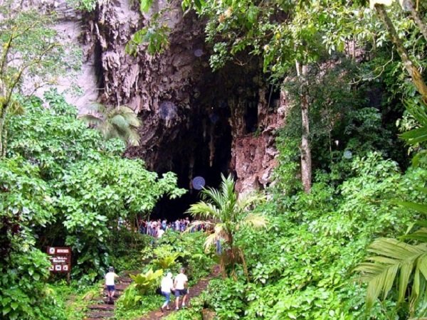 Parque-Nacional-El-Guácharo10.jpg