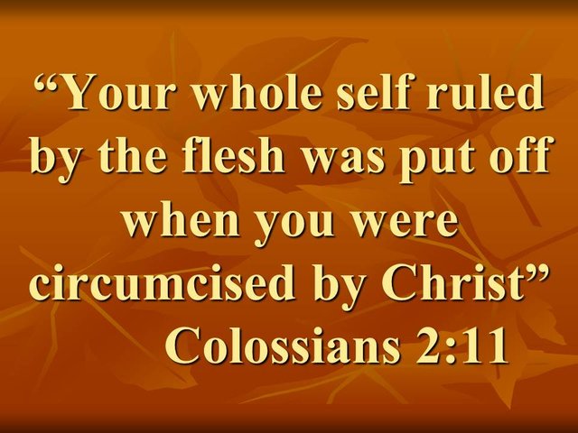 Christian integrity. Your whole self ruled by the flesh was put off when you were circumcised by Christ. Colossians 2,11.jpg