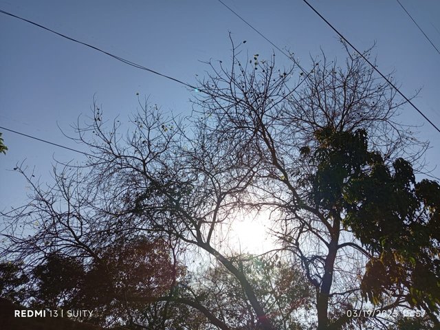 1000032398.jpg