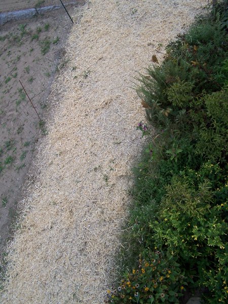 Construction - seeded and mulched10 crop September 2019.jpg