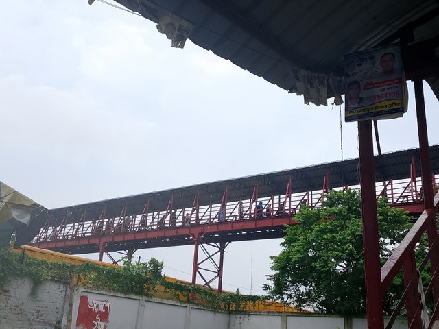 1000050251.jpg