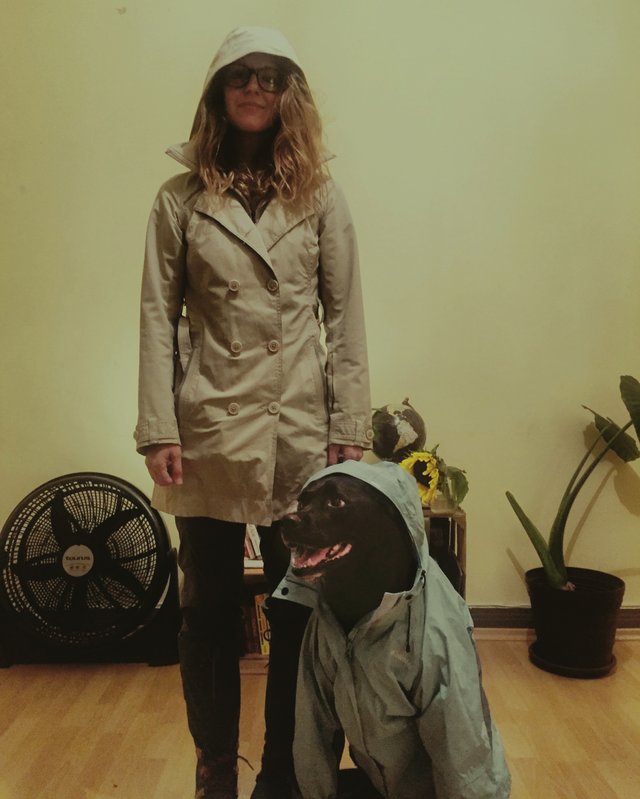 luna raincoat.jpg