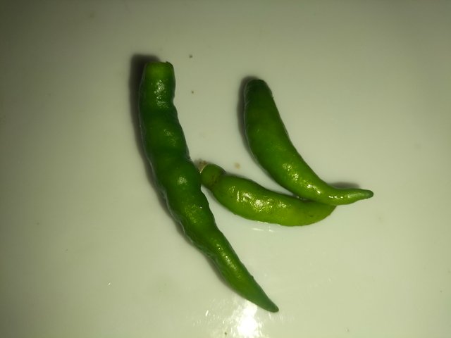 IMG20251015115243.jpg