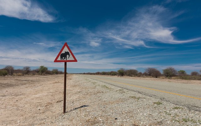 2016_11_Botswana-(27)-2000.jpg