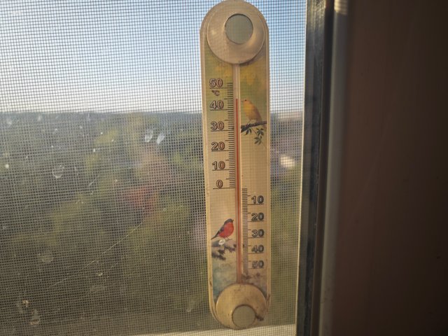 1000084118.jpg