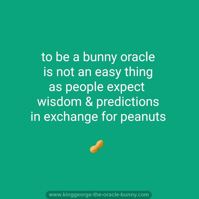 Bunny Oracle Peanuts w Credit.jpg