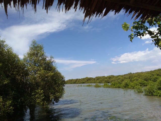 IMG_20210701_145607.jpg