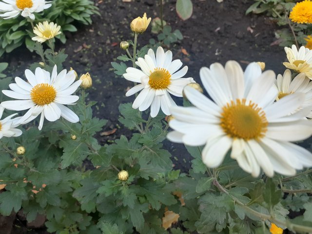 20251015_103314.jpg