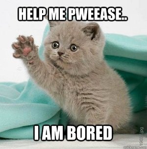 Cat-Say-Help-Me-Pweease-I-Am-Bored-Funny-Bored-Meme-Image.jpg