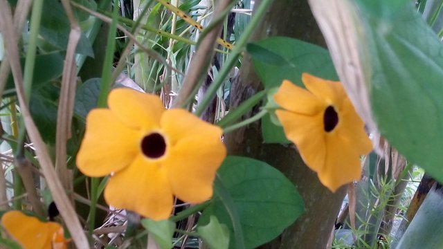IMG_20171124_101241.jpg