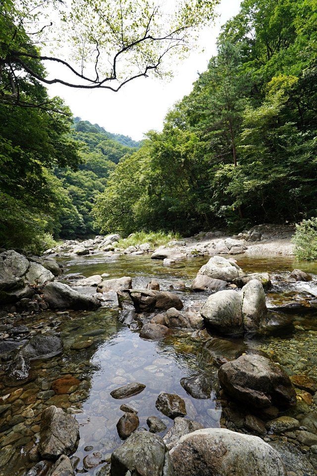b-DSC00282.JPG