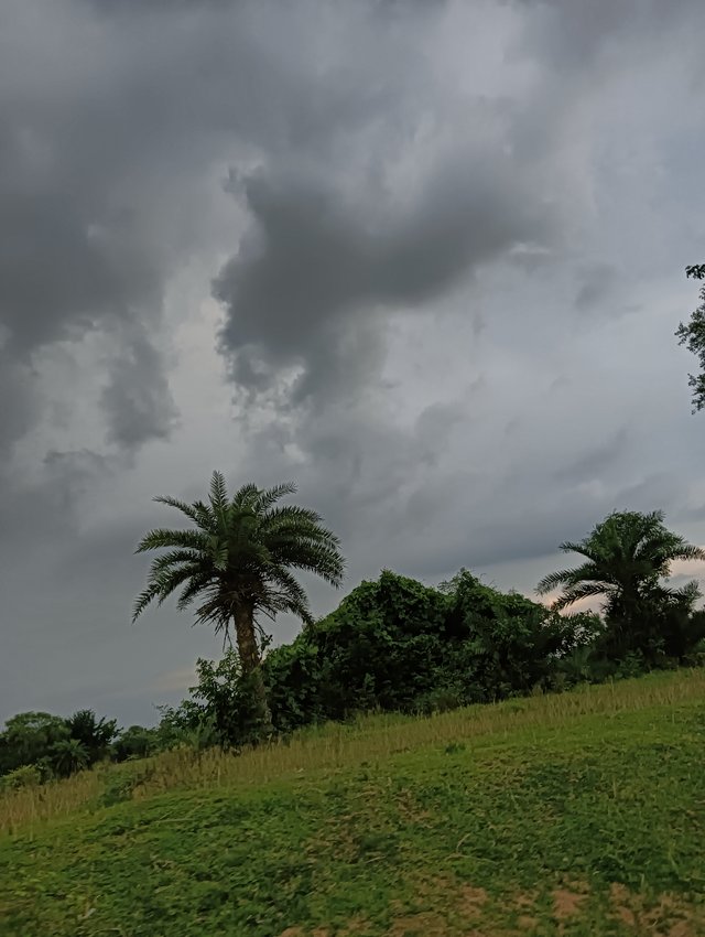 IMG20250904154238.jpg