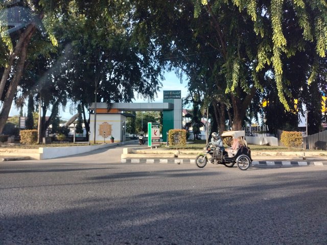 114.jpg