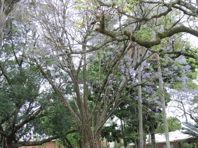 DSCN2974.JPG