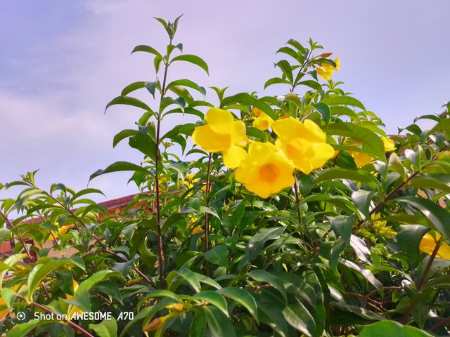 IMG_20250915_164713_742.jpg